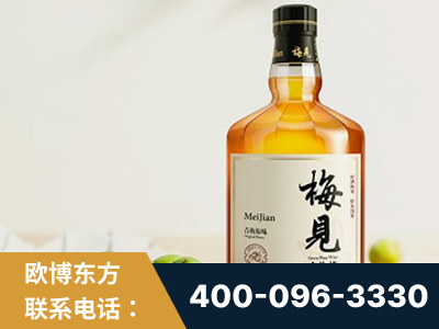 辽源-梅见青梅酒