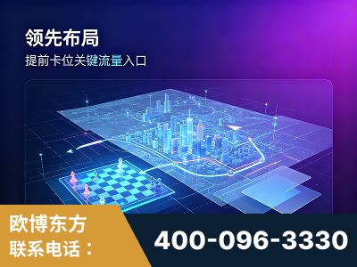 辽源-领先布局：于2024年初开启GEO业务的公司